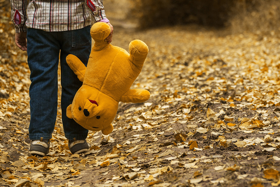 How chronic stress in early childhood shapes the brain