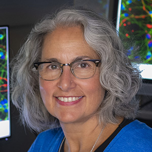 Anita Bhattacharyya, PhD