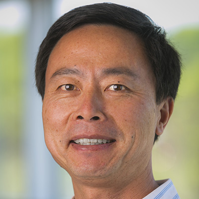 Implanted neurons, grown in the lab, take charge of brain circuitry