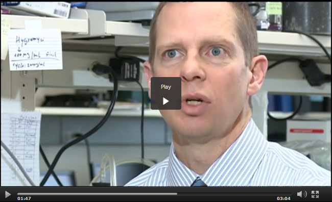 David Gamm on TV