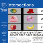 Newsletter cover 2017 - 1