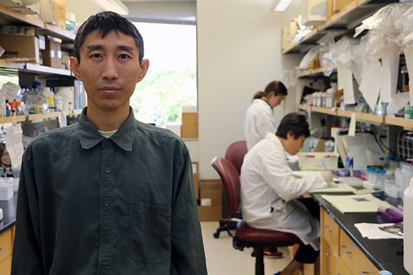 Newly funded research to study astrocyte dysfunction in Rett syndrome