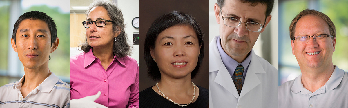 Waisman investigators Qiang Chang, Anita Bhattacharyya, Xinyu Zhao, Luigi Puglielli and John Svaren (left to right)