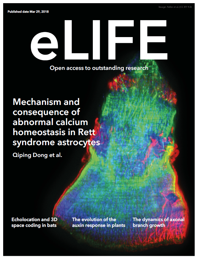 Cover of the journal eLIFE highlighting Chang's research