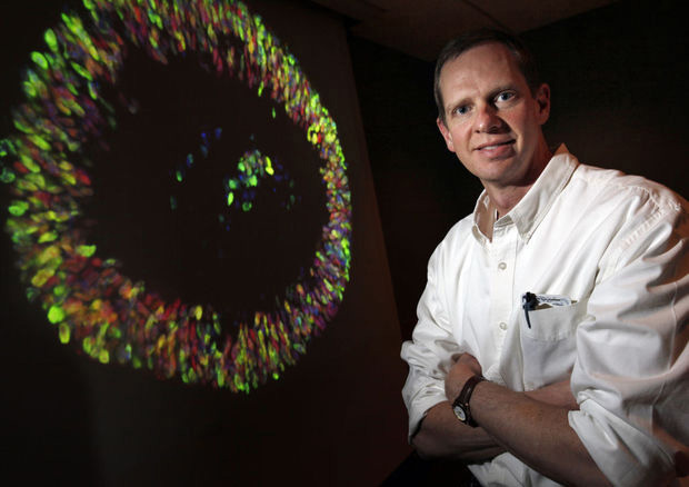 Years after promise of stem cells seemed to be fading, clinical trials underway