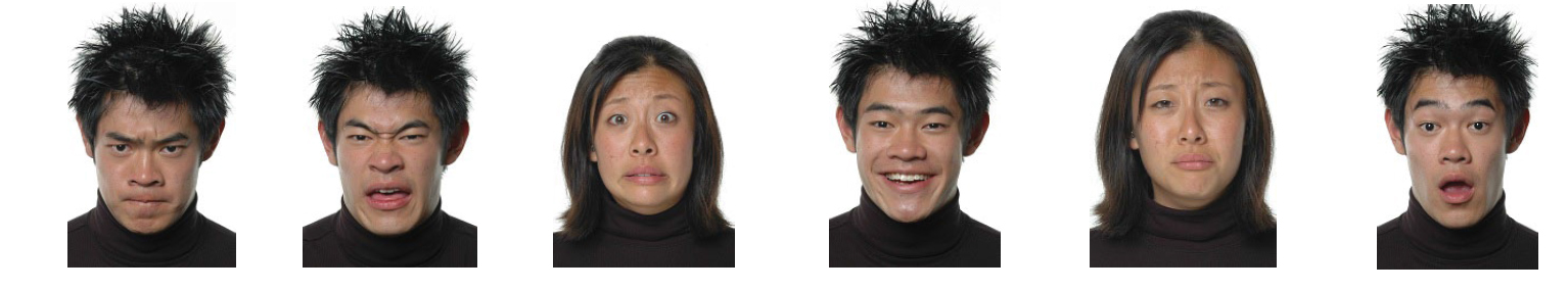 Seth Pollak - facial images