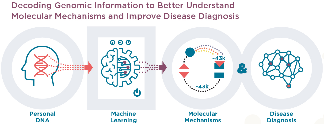 Decoding Genomic Information to Better Understand Molecular Mechanisms and Improve Disease Diagnosis