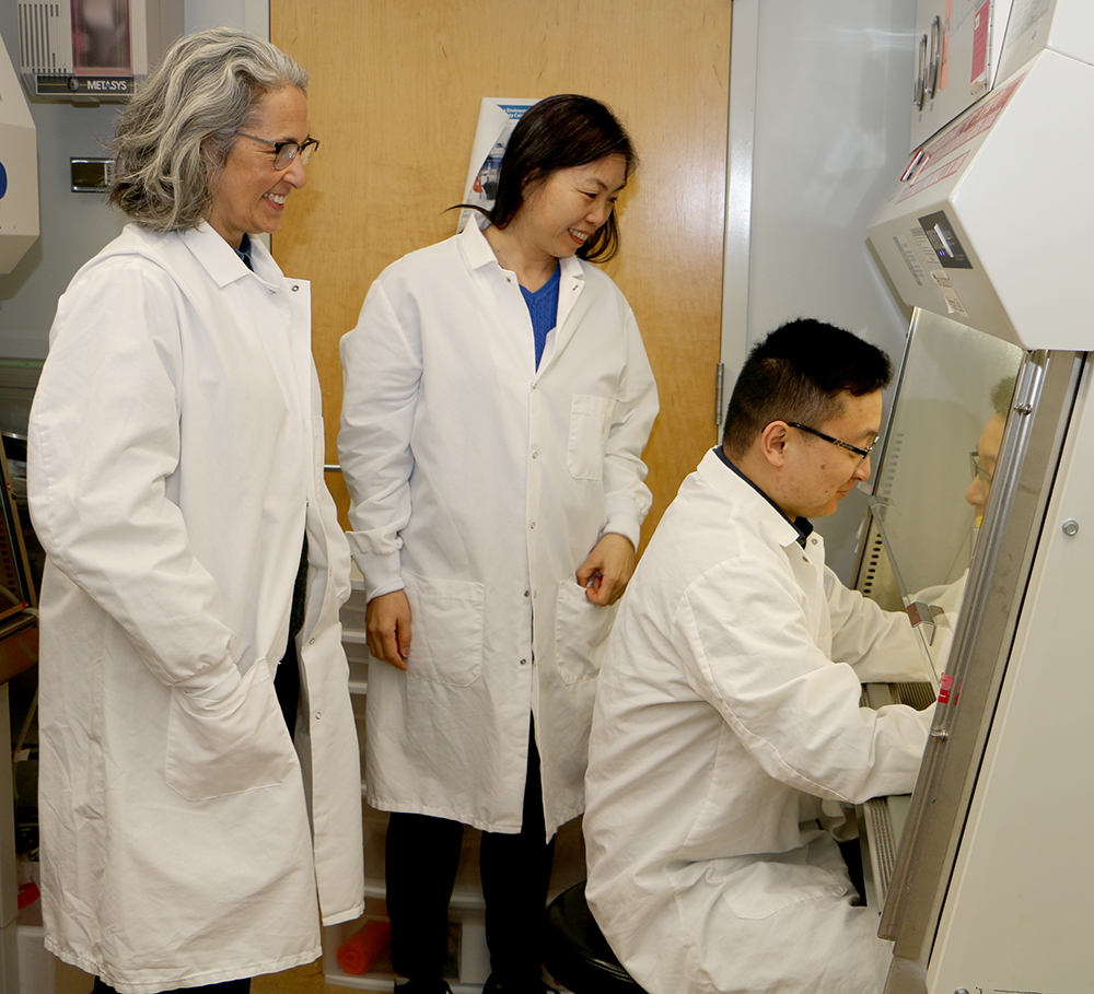 Anita Bhattacharyyar, Xinju Zhao, and Minjie Shen