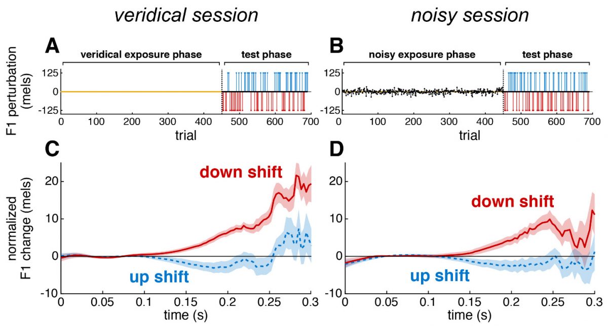 Caroline A Niziolek, PhD - Slide of the Week