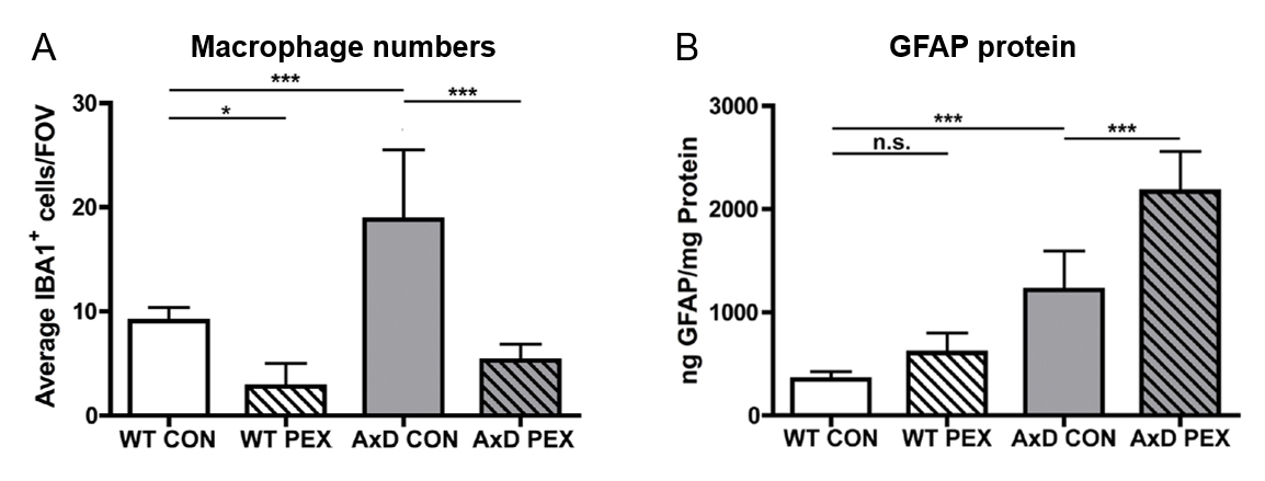 Tracy L. Hagemann, PhD - Slide of the Week