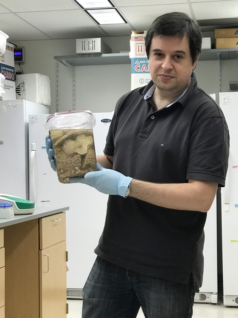 André Sousa, PhD