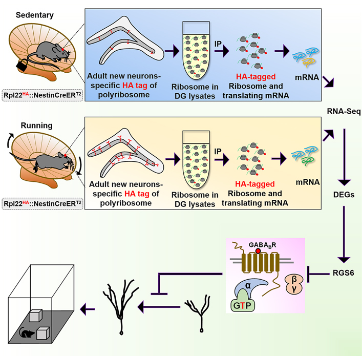 Xinyu Zhao, PhD - Slide of the Week