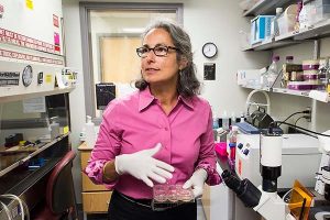 Anita Bhattacharyya in her lab