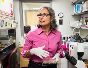 Anita Bhattacharyya, PhD