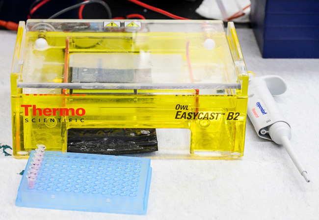 Gene editing equipment