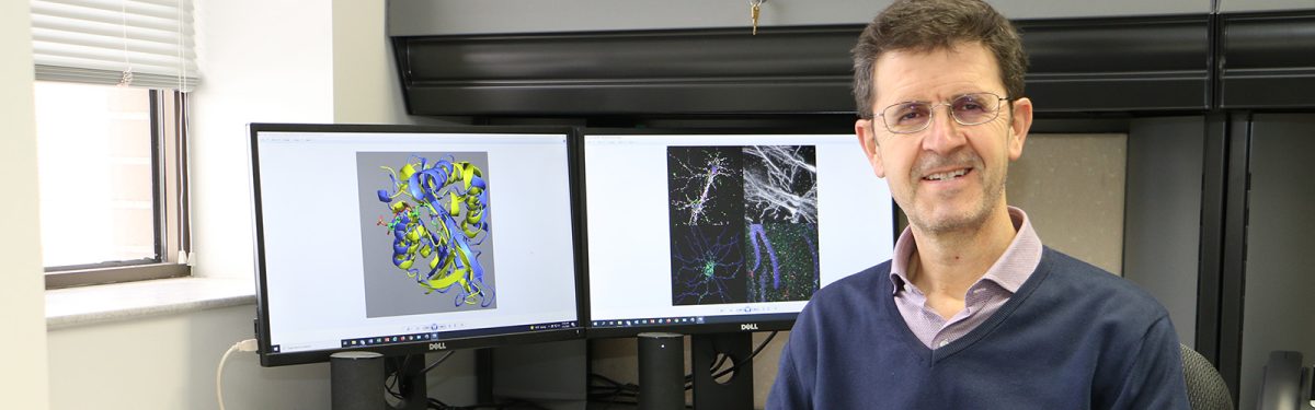 Malfunctioning quality control pathway in neurons may be a cause of autism spectrum disorder