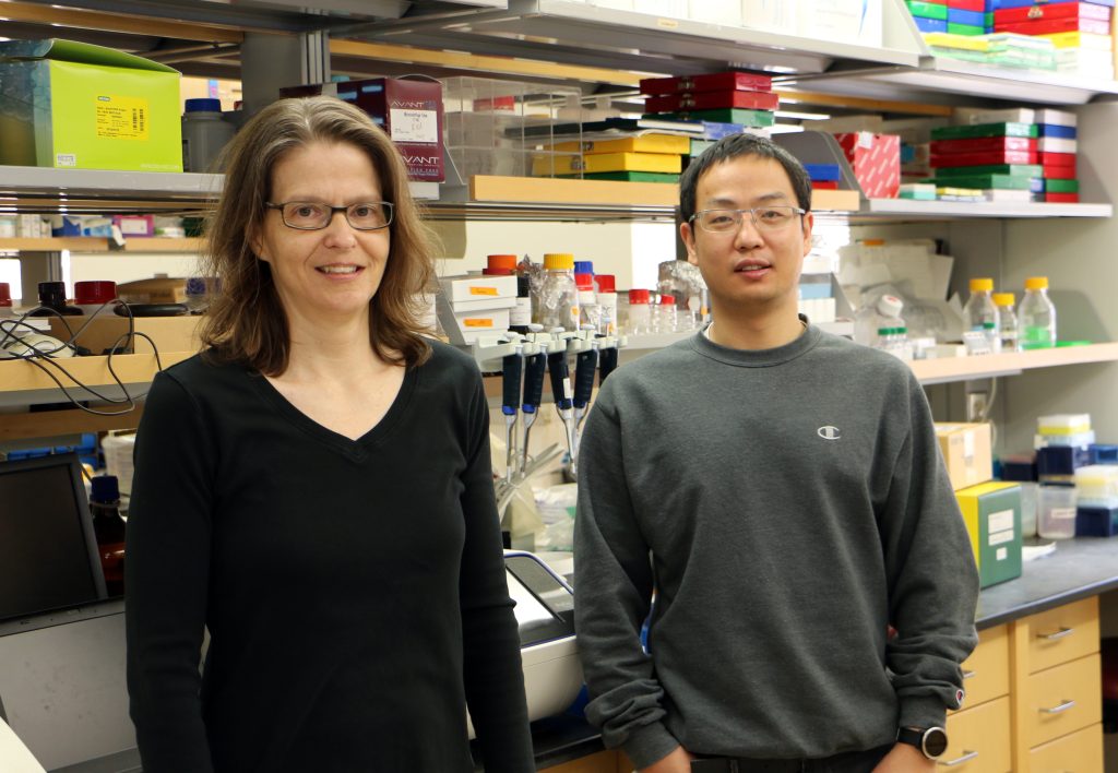 Tracy Hagemann, PhD, and Yunlong Tao, PhD