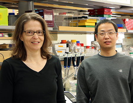 Two Waisman investigators named research professors