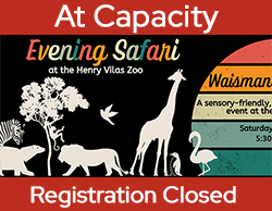 50th Anniversary Evening Safari at the Zoom