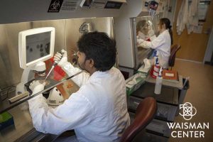 A member of Gamm’s lab looking into a microscope