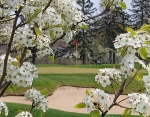 Maple Bluff Golf Course
