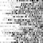 DNA