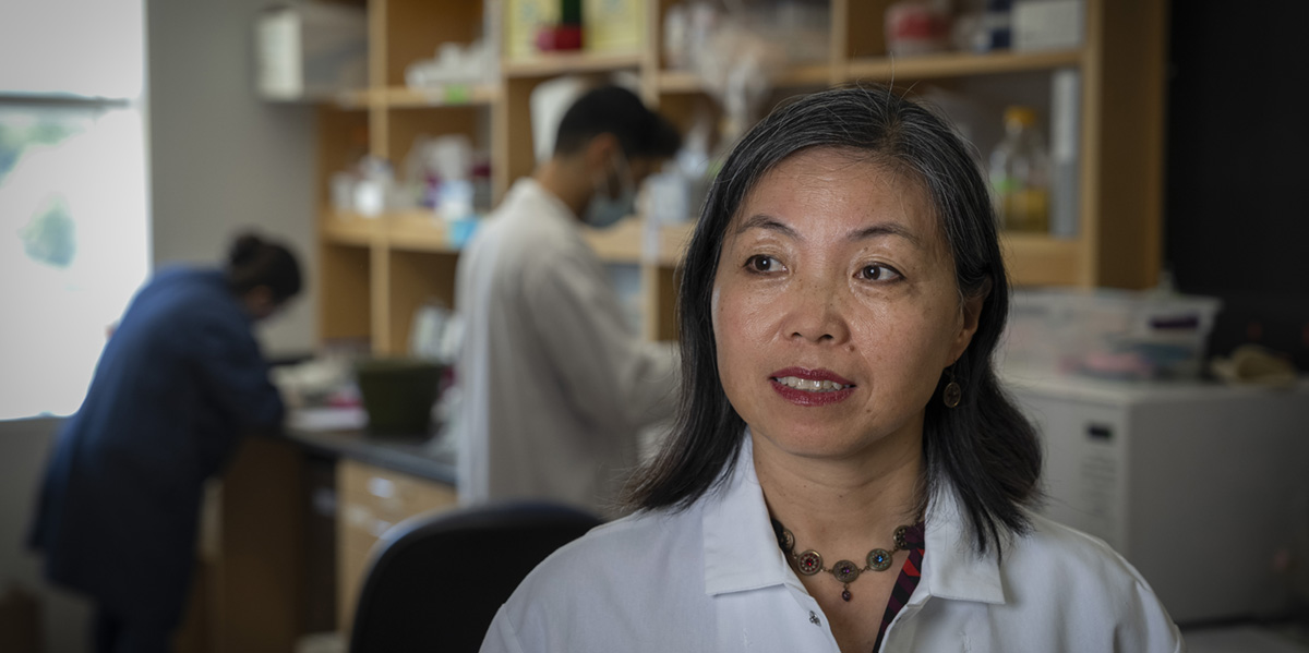 New research expands understanding of impact of rapamycin on fragile X syndrome