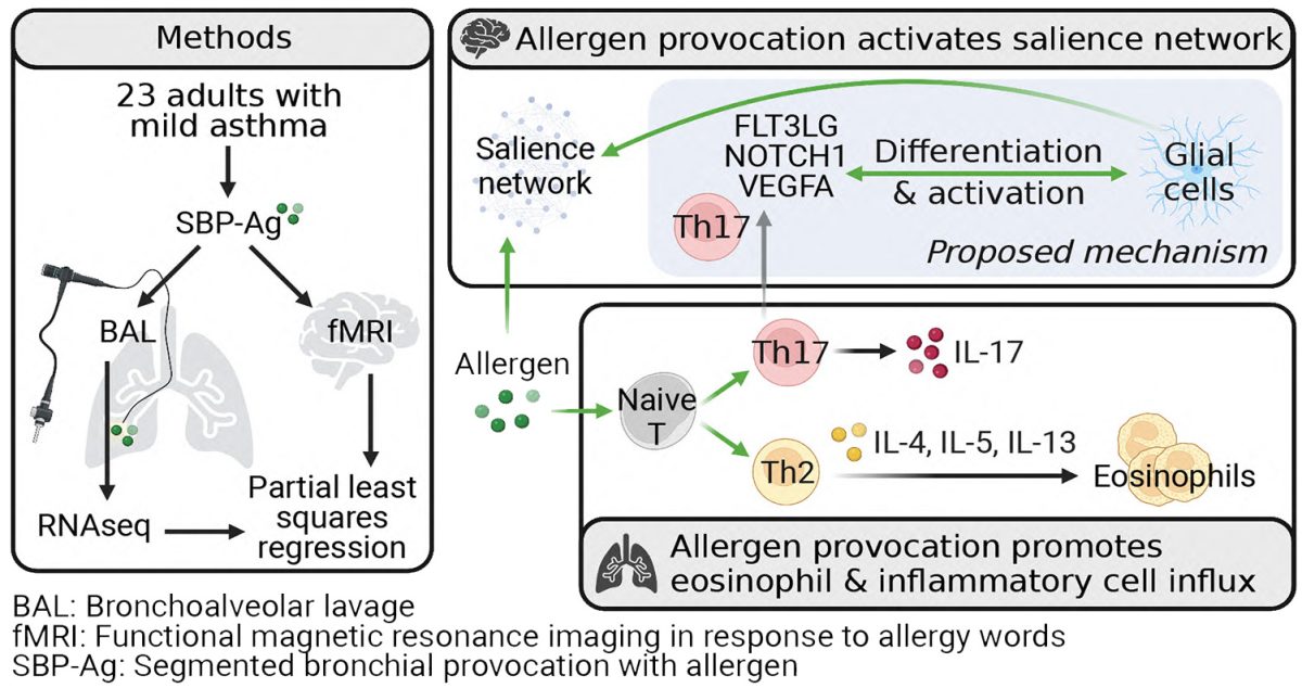 Richard J Davidson, PhD - Slide of the Week