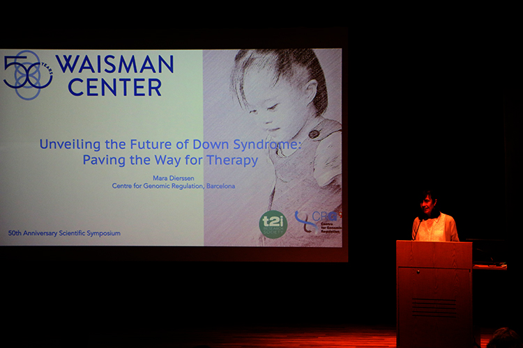 Mara Dierssen, PhD