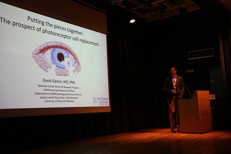 David Gamm, MD, PhD
