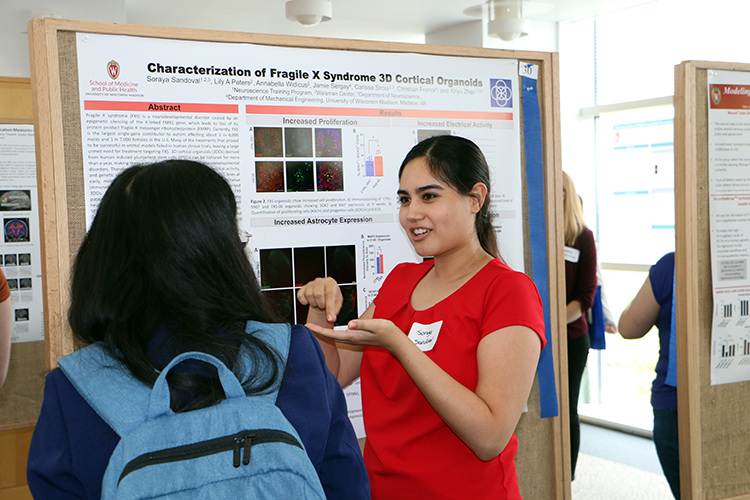 Poster Session