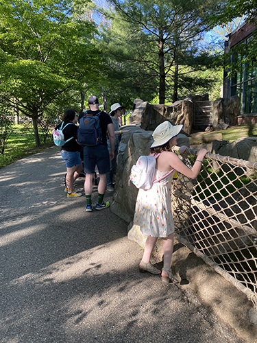 Evening Safari at the Zoo