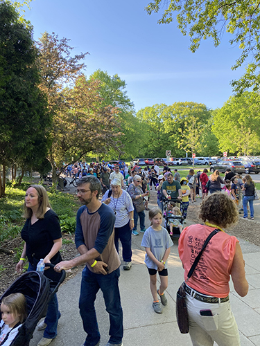 Evening Safari at the Zoo