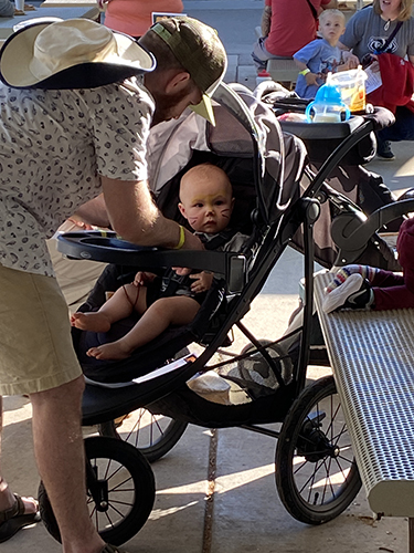 Evening Safari at the Zoo