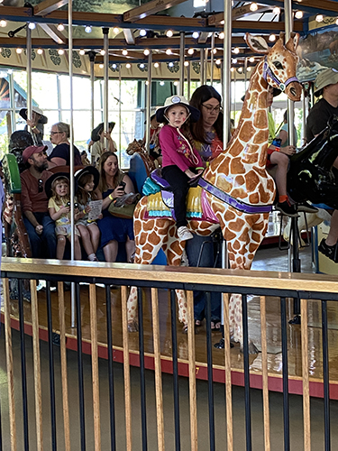 Evening Safari at the Zoo