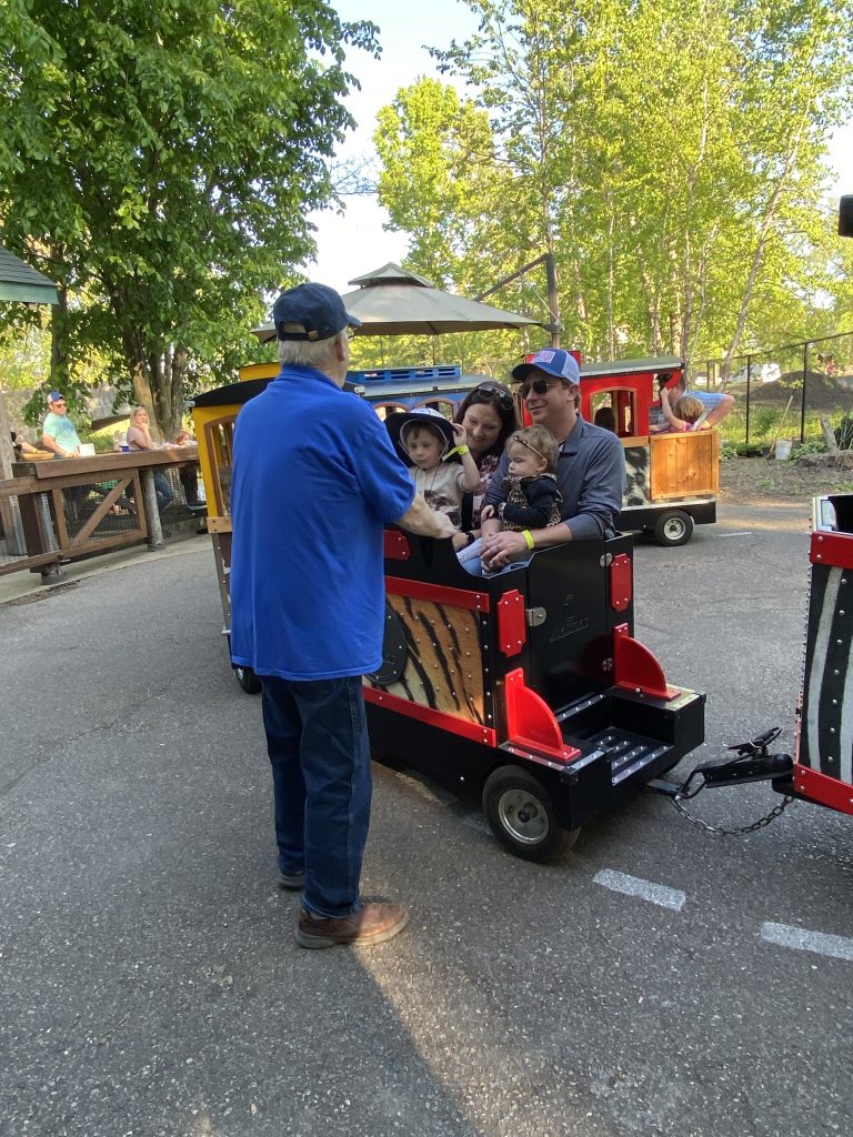 Evening Safari at the Zoo