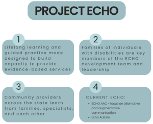 Project Echo
