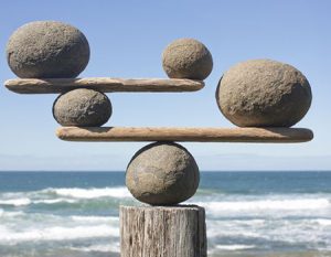 COW Balanced rocks
