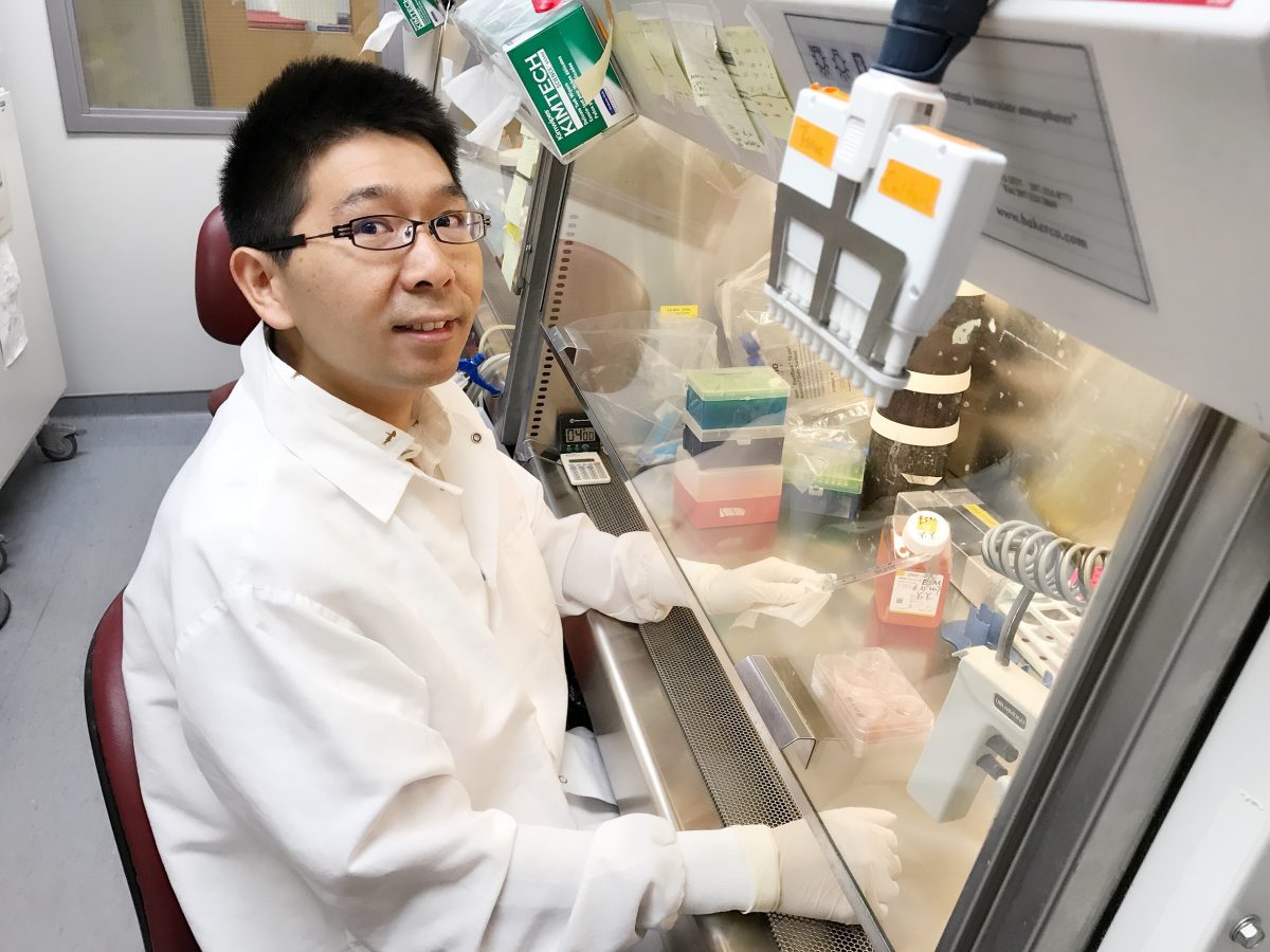 UW-Madison researchers first to 3D-print functional human brain tissue