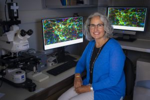 : Anita Bhattacharyya, PhD