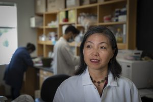 Xinyu Zhao, PhD