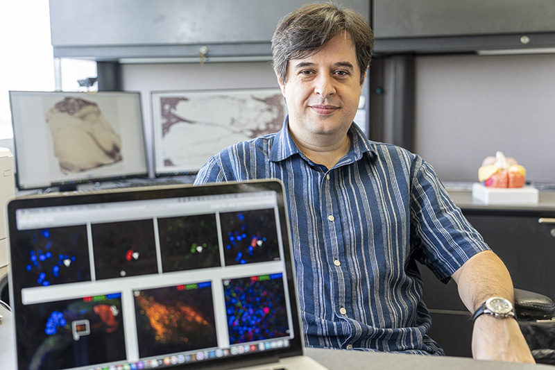 Andre Sousa, PhD in his office at the Waisman Center