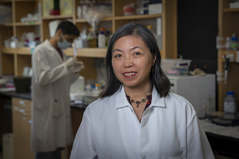 Xinya Zhao, PhD
