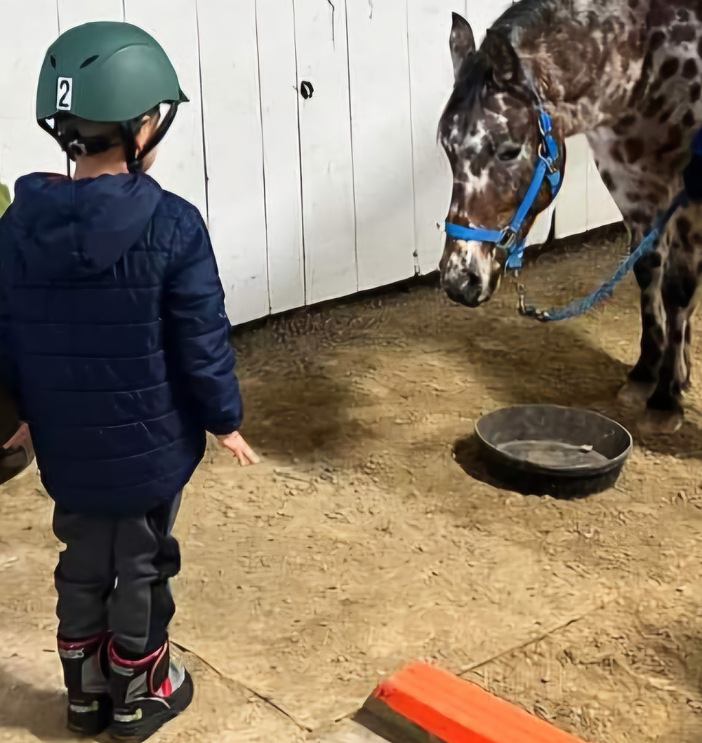 A therapeutic trot: How horses can help individuals with intellectual and developmental disabilities