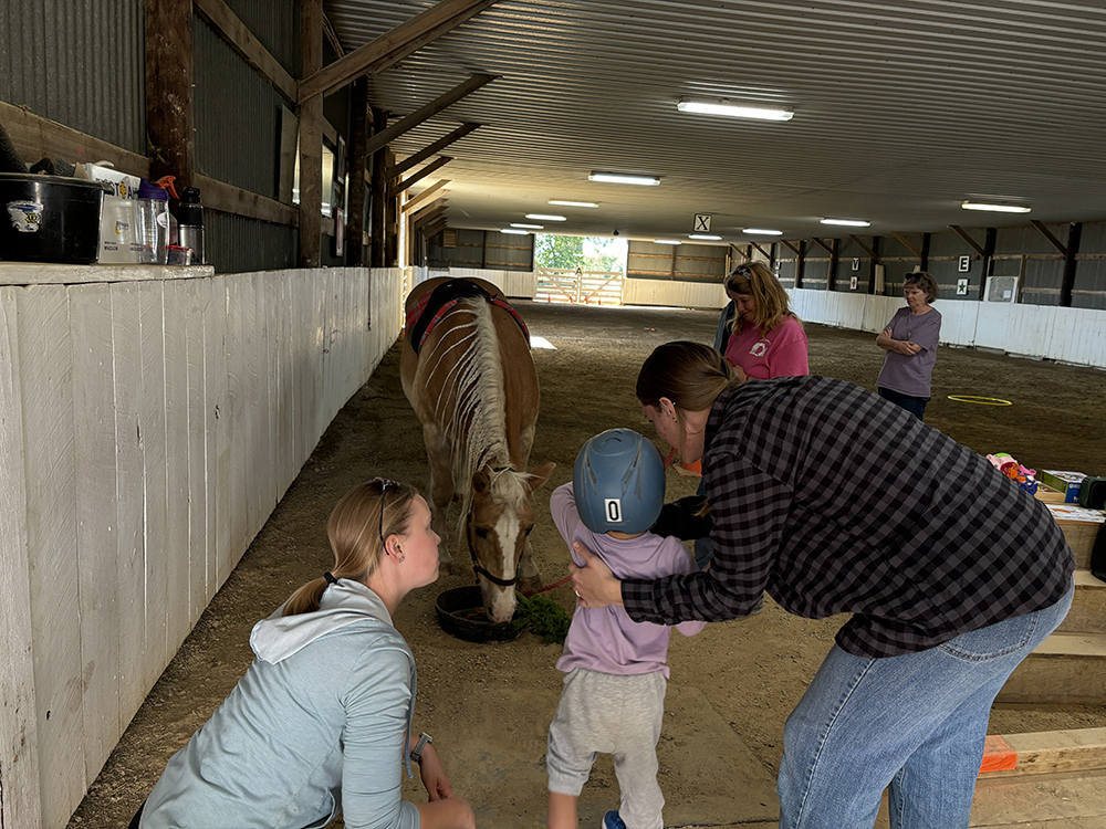 Several adults and a child wearing a helmet looking at a horse eating from a bucket
