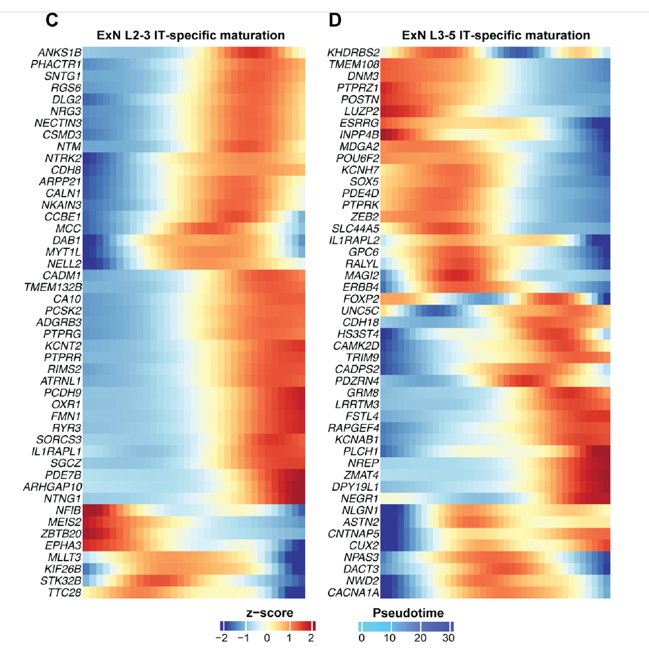 changes in gene expression over time