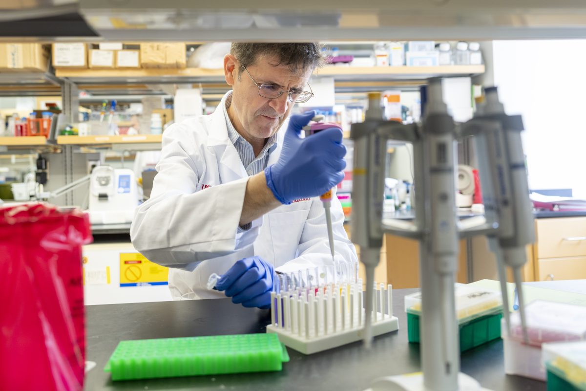 New research reinforces the link between a cellular quality control system and rare forms of autism
