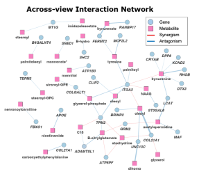Web of circles and squares connected by lines
