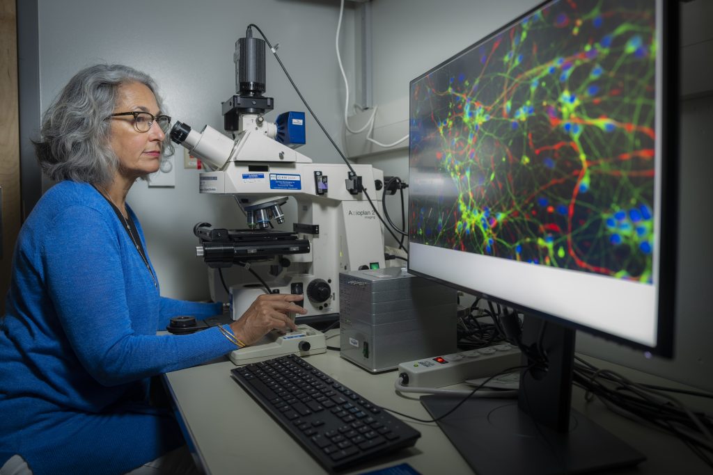 Woman wearing a blue sweater looking into a microscope