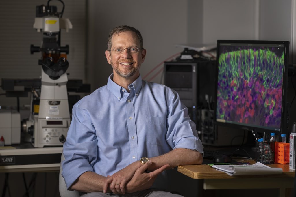 David Gamm, MD, PhD